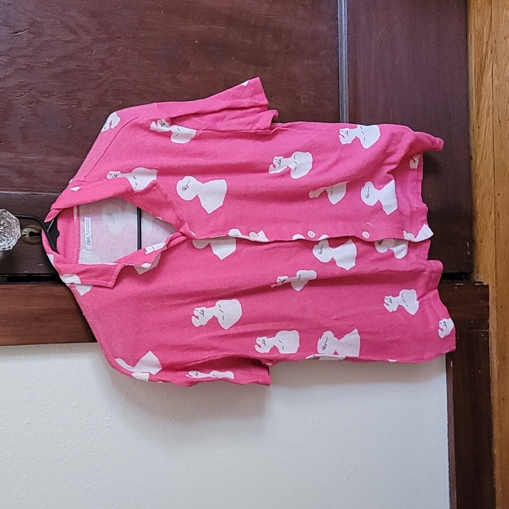 Zara Pink Button Down
